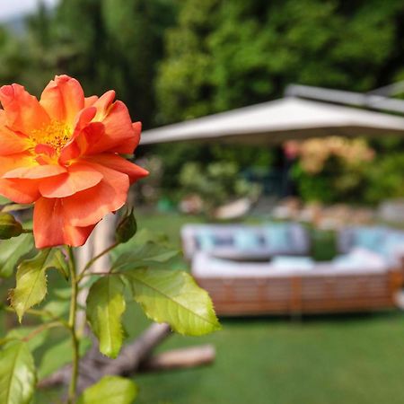 Parkhotel Brenscino Brissago Eksteriør billede